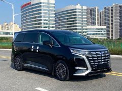 Denza BYD Denza D9 DM-i 1040 Premium - ფოტო 3