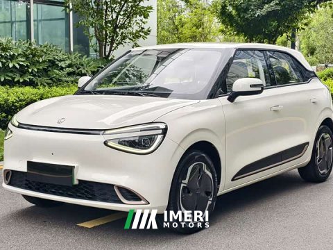 2024 Dongfeng Nanotech 01 Refresh Edition 330 Plus Smart - ავტომობილი ჩინეთიდან