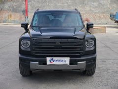 Haval Manlong New Energy 2024 Hi4 145 Pro - ფოტო 2