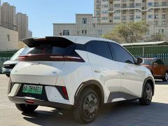 BYD Seagull Smart Drive 305km Vitality Edition - ფოტო 7