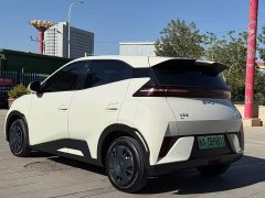 BYD Seagull Smart Drive 305km Vitality Edition - ფოტო 9