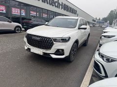 Haval H6 National Trend Edition 1.5T Automatic Urban Version - ფოტო 1