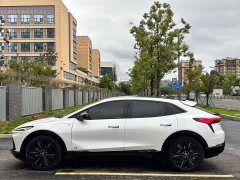 Buick E4 GS Edition - ფოტო 13