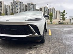 Buick E4 GS Edition - ფოტო 14