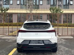 Buick E4 GS Edition - ფოტო 16