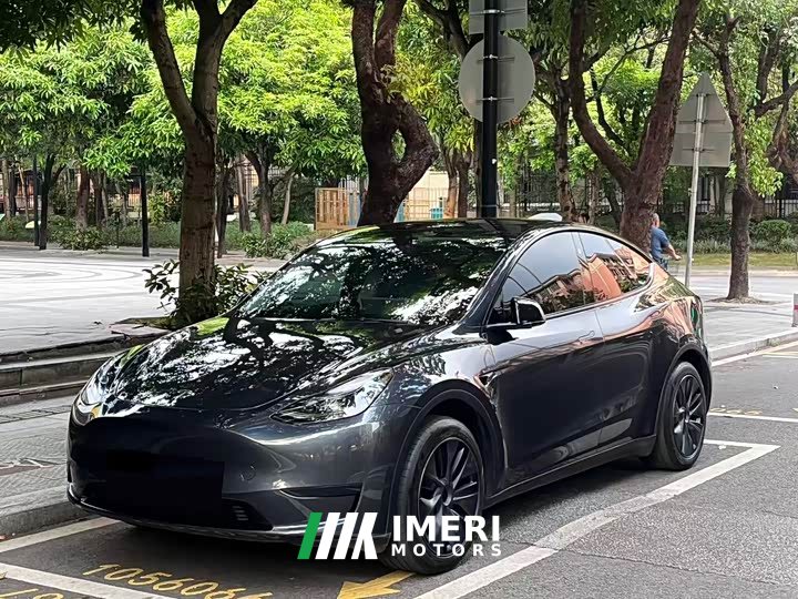 Tesla Model Y Rear-Wheel Drive