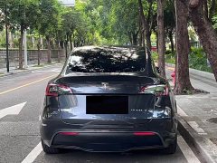 Tesla Model Y Rear-Wheel Drive - ფოტო 19