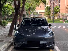Tesla Model Y Rear-Wheel Drive - ფოტო 2