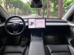 Tesla Model Y Rear-Wheel Drive - ფოტო 8