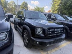 Great Wall Haval Big Dog Dachshund 2021 2.0T DCT Four-Wheel Drive Chinese Rural Dog Edition - ფოტო 2