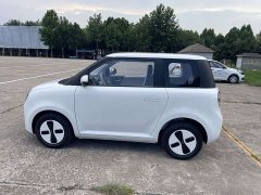 Changan Lumin Treasure Edition 205km Cool Love White CATL - ფოტო 8