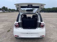 Changan Lumin Treasure Edition 205km Cool Love White CATL - ფოტო 9