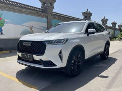 Haval H6 2021 Third Generation 2.0T Automatic Two-Wheel Drive Max - ფოტო 1