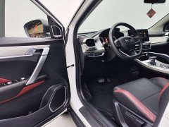 Geely Bingyue 1.4T DCT Diamond Edition - ფოტო 10