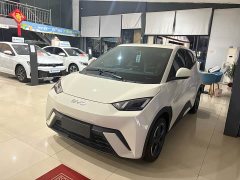 BYD Seagull 2023 Flying Edition - ფოტო 1