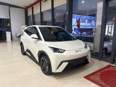 BYD Seagull 2023 Flying Edition - ფოტო 3