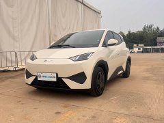 BYD Seagull 305km Vitality Edition - ფოტო 1