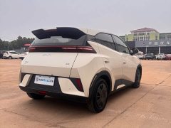 BYD Seagull 305km Vitality Edition - ფოტო 10
