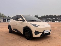 BYD Seagull 305km Vitality Edition - ფოტო 3