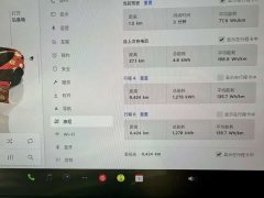 Tesla Model Y Rear-Wheel Drive - ფოტო 14