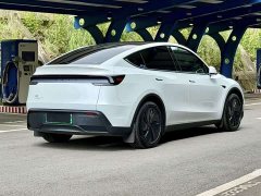 Tesla Model Y Rear-Wheel Drive - ფოტო 4