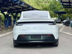 Tesla Model Y Rear-Wheel Drive - ფოტო 5