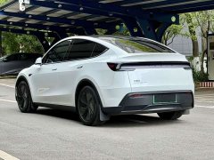 Tesla Model Y Rear-Wheel Drive - ფოტო 6