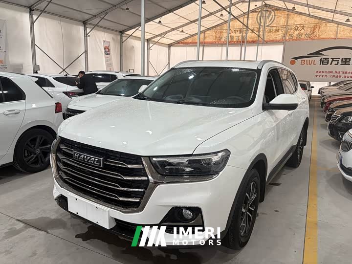 Haval H6 2021 National Trend Edition 1.5T Automatic Urban Version - ავტომობილი ჩინეთიდან