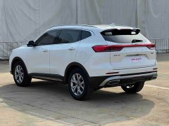 Haval H6 2021 National Trend 1.5GDIT Automatic Champion Edition - ფოტო 12