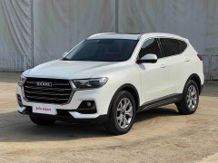Haval H6 2021 National Trend 1.5GDIT Automatic Champion Edition - ფოტო 3