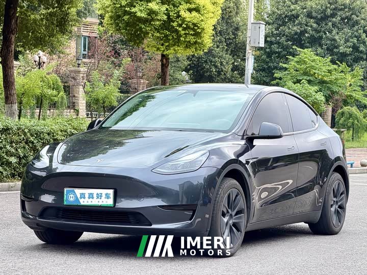 Tesla Model Y Rear-Wheel Drive