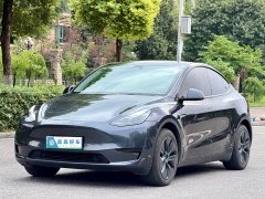 Tesla Model Y Rear-Wheel Drive - ფოტო 1