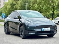Tesla Model Y Rear-Wheel Drive - ფოტო 3