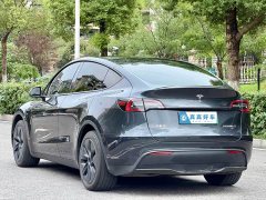Tesla Model Y Rear-Wheel Drive - ფოტო 6