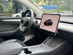 Tesla Model Y Rear-Wheel Drive - ფოტო 9