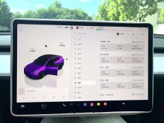 Tesla Model Y Rear-Wheel Drive - ფოტო 14