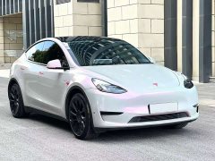 Tesla Model Y Rear-Wheel Drive - ფოტო 3