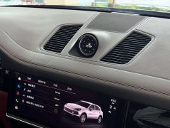 Porsche Cayenne 3.0T - ფოტო 16