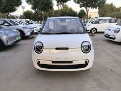 Changan Lumin Treasure Edition 205km Cool Love White CATL - ფოტო 2