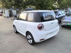 Changan Lumin Treasure Edition 205km Cool Love White CATL - ფოტო 6
