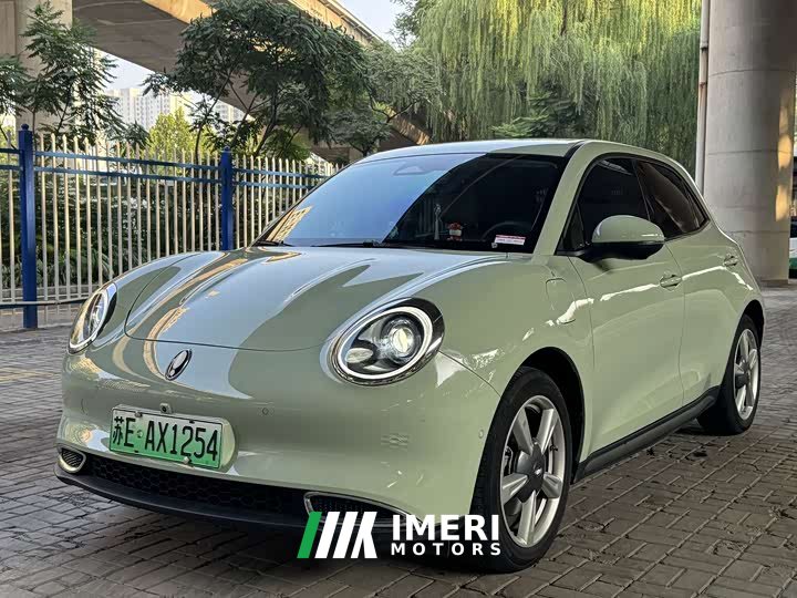 ORA Good Cat 400km Standard Range Luxury Ternary Lithium - ავტომობილი ჩინეთიდან