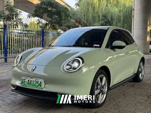 2022 ORA Good Cat 400km Standard Range Luxury Ternary Lithium - ავტომობილი ჩინეთიდან