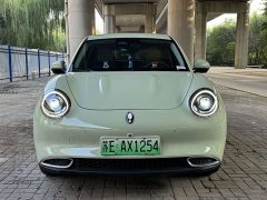 ORA Good Cat 400km Standard Range Luxury Ternary Lithium - ფოტო 2