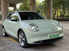 ORA Good Cat 400km Standard Range Luxury Ternary Lithium - ფოტო 3