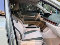 ORA Good Cat 400km Standard Range Luxury Ternary Lithium - ფოტო 9