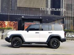Tank 300 Off-Road Edition 2.0T Conqueror - ფოტო 14