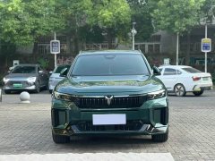 Voyah Lantu FREE 318 318km RWD World Tour Edition - ფოტო 2