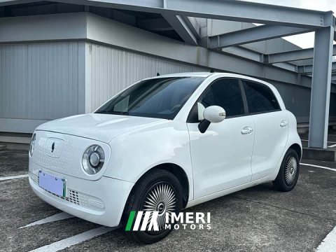 2021 ORA Black Cat 301km Base - ავტომობილი ჩინეთიდან