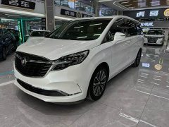 Buick GL8 ES Land Respect 653T Luxury - ფოტო 1