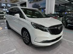 Buick GL8 ES Land Respect 653T Luxury - ფოტო 3